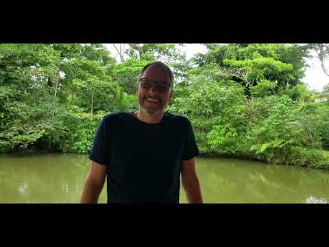 Green Healthcare dental care in Costa Rica