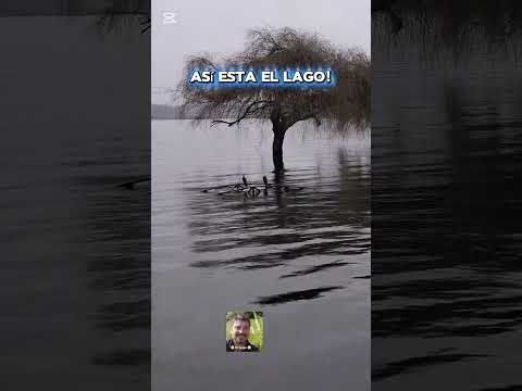 Así esta el Lago! #regiondelosrios #panguipulli #live #cosasdelsur #creators