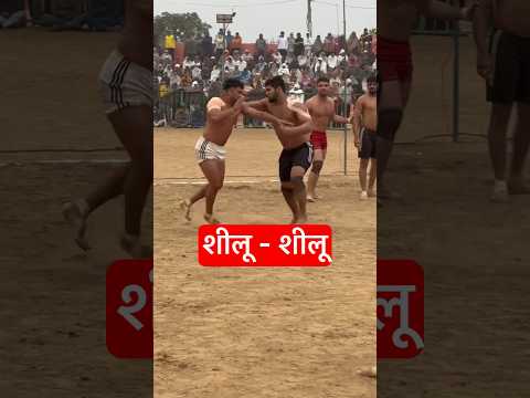 KALOI KABADDI LIVE | KALOI KABADDI FINAL MATCH | #Shillubahu #silubalhra #kabaddicup #kabaddi #KKL