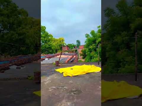 🎶👍kavaalaa (form jailer) #sushmita #youtube 👍