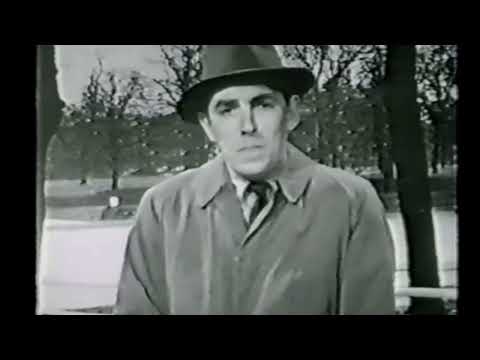 E.L Wisty on Spinach!