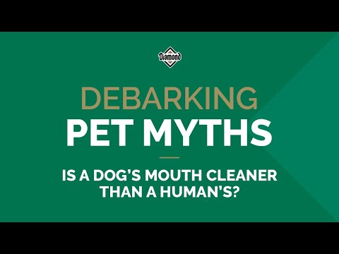 Is a Dog’s Mouth Cleaner Than a Human’s? | Debarking Pet Myths | Diamond Pet Foods