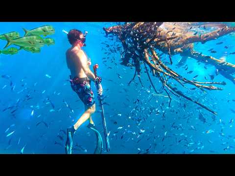 We Can't Believe it! AMAZING Find While Offshore Spearfishing!