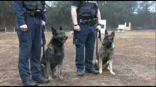 preview picture of video 'Greenville City Police K-9 Unit'