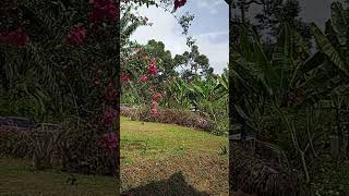 Download lagu R_Bunga Kertas 🤍 mp3 Download lagu R_Bunga Kertas 🤍 mp3