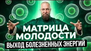 ВСЯ СТАРОСТЬ ВЫЙДЕТ! | Ваше тело МОЛОДЕЕТ на глазах | Почувствуй себя как в 20 за 1 сеанс