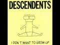 Descendents -  I Don't Want to Grow Up (Full Album)