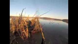 preview picture of video 'Duck Hunting Missouri 2013'