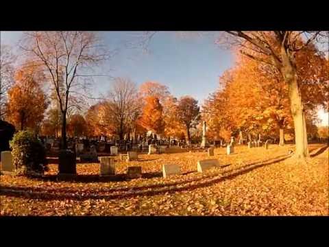 PETER DELCLEF - "LOVIN' ARMS"