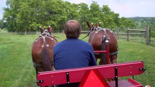 preview picture of video 'Open House Mule Team Wagon Ride, Part I'