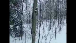 LeBlanc &amp; Carr - Falling (1978).mpg