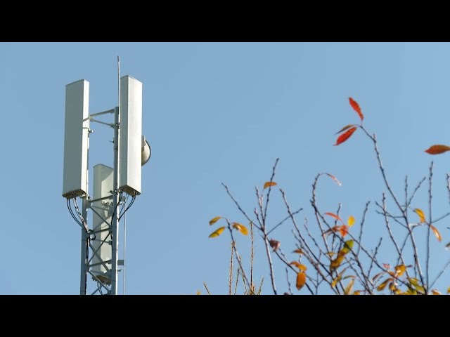 «В центре внимания»