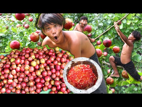 Ultimate Rainforest Survival: Madagascar Plum Picks & Delicious Rainforest Eats | Primitive Boy
