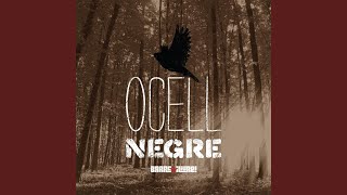 L'ocell Negre