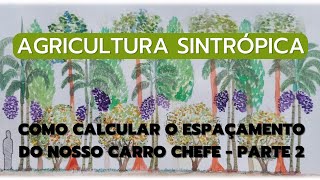 Agricultura sintrópica - Como calcular o espaçamento do nosso carro chefe - PARTE 2.