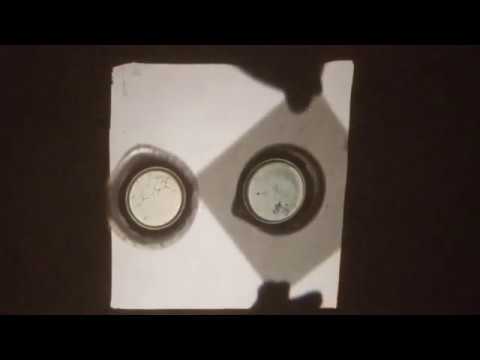 Polarizing Filters and Limonene