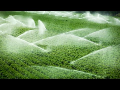 How solar power and innovative techniques are changing farming