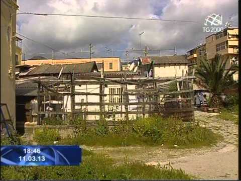 Tg2000 dell'11 marzo 2013