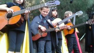 Mi limón y limonero Tuna novaunioIgualada)