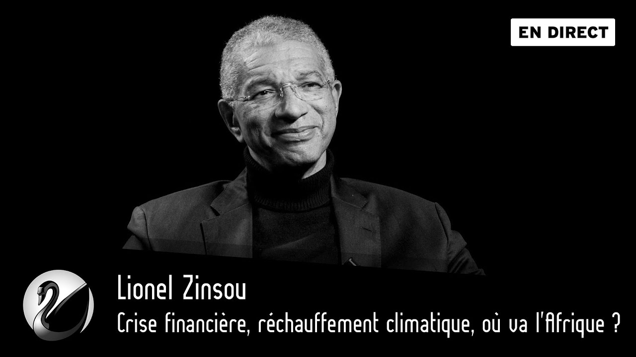 Crise financière, réchauffement climatique, où va l'Afrique ? Lionel Zinsou