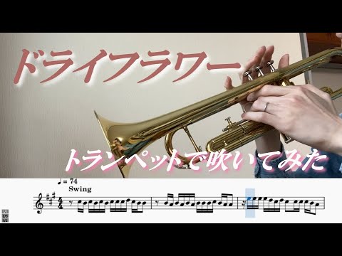 Doubutsu Takarajima Kaizoku no Uta Male Harmony