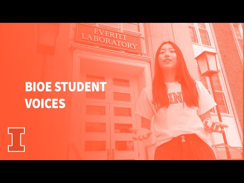 Uiuc Bioengineering Student Voices