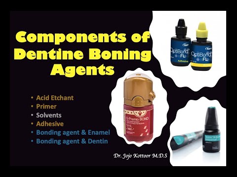 Components of Dentine Bonding Agents