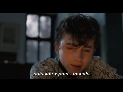 suisside x poet - insects | перевод