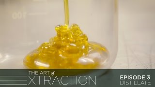 Distillate Extraction at Vapen Clear: The Art of Extraction with Roxy Striar