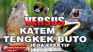 Download lagu #1🔴 KOMPILASI MASTERAN JUARA KAPAS TEMBAK VERSUS TENGKEK BUTO JEDA EFEKTIF !! VIDEO HD AUDIO JERNIH mp3