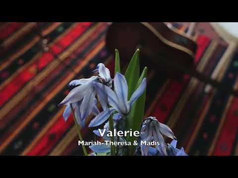 Amy Winehouse - Valerie (cover)