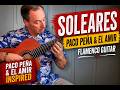 🔥 Soleares | Flamenco Guitar 🎸 Paco Peña & El Amir Inspired | Passionate Spanish Guitar 🇪🇸