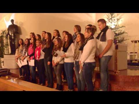 Anima Una - "Niska istine"