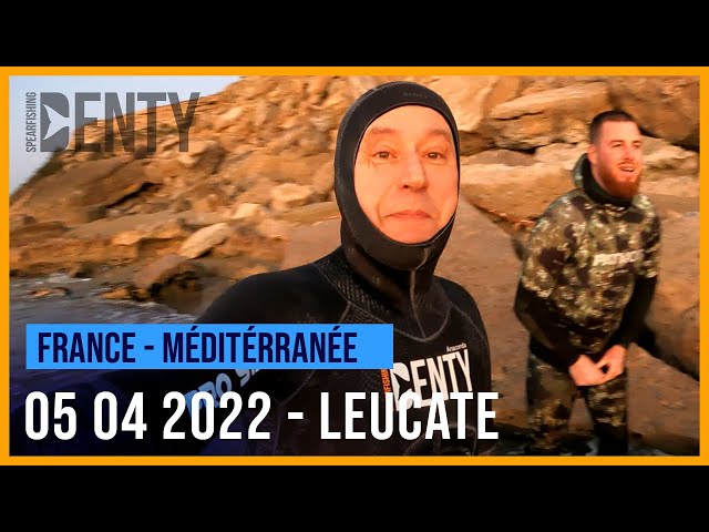 Pole Spear mono pointe Denty Spearfishing vidéo