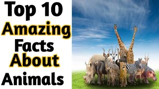 Facts About Animals | Amazing facts | Random Facts#Shorts#Short #YoutubeShorts#Anandfacts