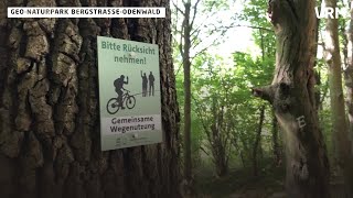 Mountainbiken im Geo Naturpark Bergstraße-Odenwald