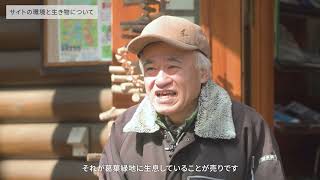 自然共生サイト「葛葉緑地（くずはの広場）」