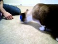 Emmy Eating Fast