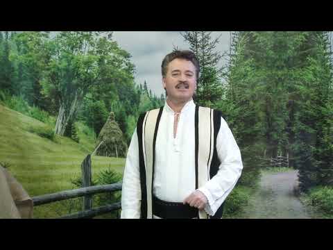 Mitică TAVĂ - Jos la hanul dintre râuri