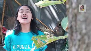 Download lagu [ Video] Banyu Bening mp3