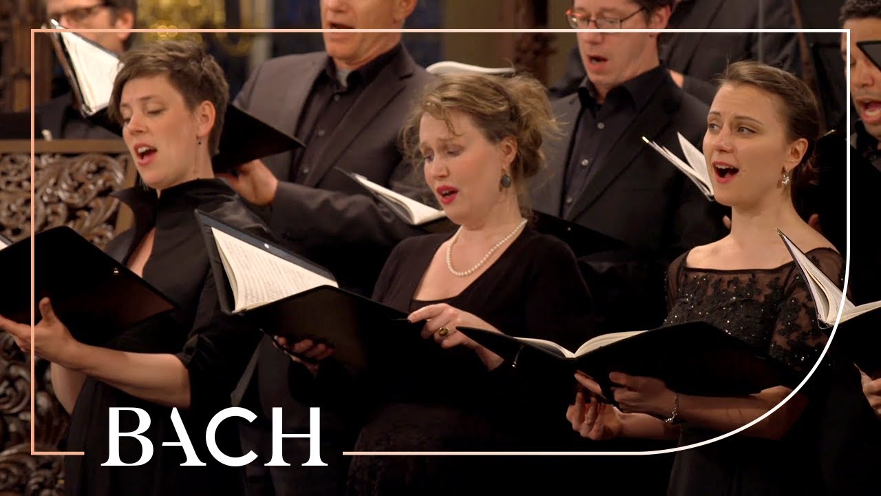 Bach - Motet Singet dem Herrn ein neues Lied BWV 225 - MacLeod | Netherlands Bach Society