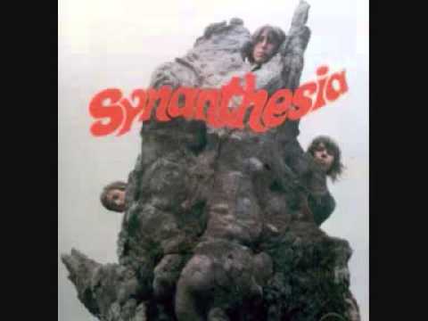 Synanthesia - The Tale of the Spider and the Fly