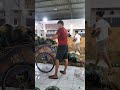 Bongkar Dewe Pek Dewe
