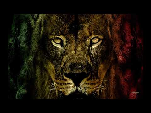 Dub Defense - Nah Trouble Me