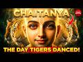 Chaitanya The Day Tigers Danced A Devotional Kirtan