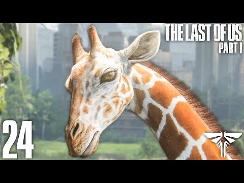 Planeta bez plagi ludzkości | The Last of Us Part 1 PL [#24]