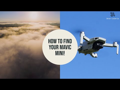 How not to loose your Mavic Mini? DJI Fly app navigation features you must know!