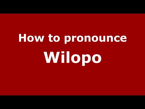 How to pronounce Wilopo