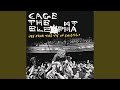 Sabertooth Tiger (Live From The Vic In Chicago)