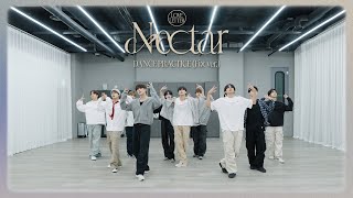 Download lagu THE BOYZ(더보이즈) ‘Nectar’ DANCE PRACTICE (Fix ver.) mp3